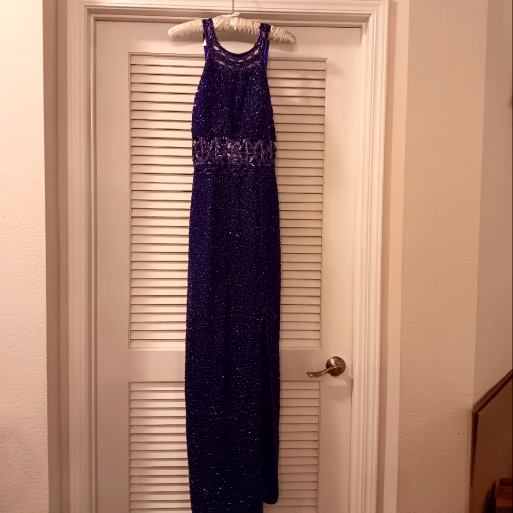 Dazzling Deep Egglplant Evening Gown